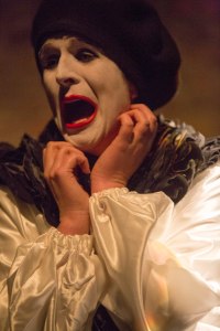 Pic Paul Sharp/SHARPPIX